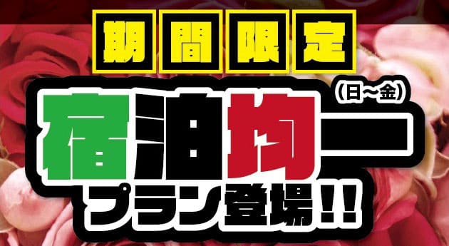 宿泊均一プラン登場バナー